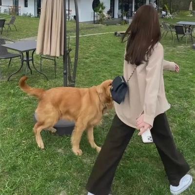 一线声机
