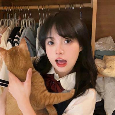 恋情告急